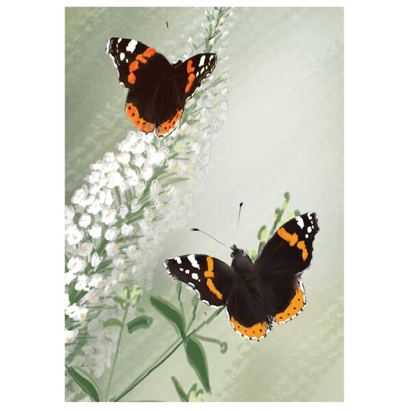 Red Admirals Butterfly Card Two Bad Mice