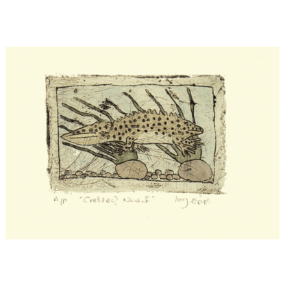 Crested Newt card by Melanie Epps