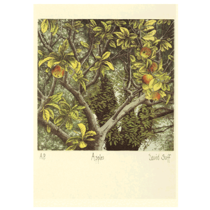 Apples card by David Suff