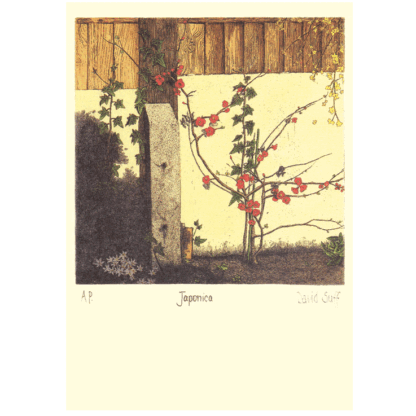 Japonica card by David Suff