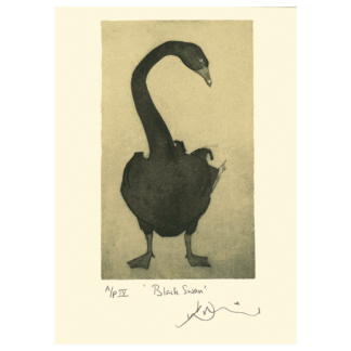 Black Swan Card