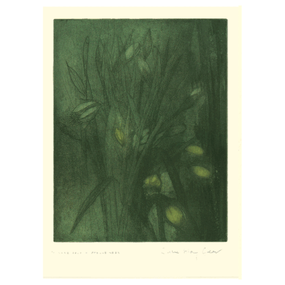 Narcissus Spellbinder Card