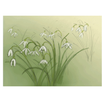 Snowdrops card by Julian Williams