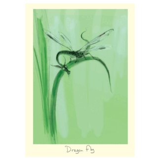 Dragon Fly Card