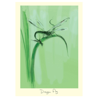 Dragon Fly Card