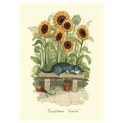Sunflower Siesta Card