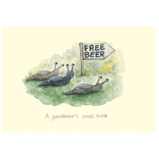 Free Beer Card