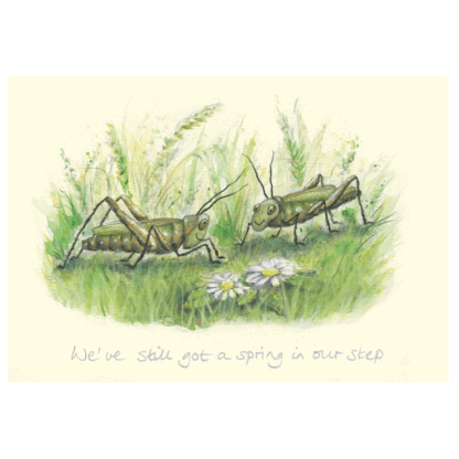 We've Still Got a Spring In Our Step card by Celia Biscoe