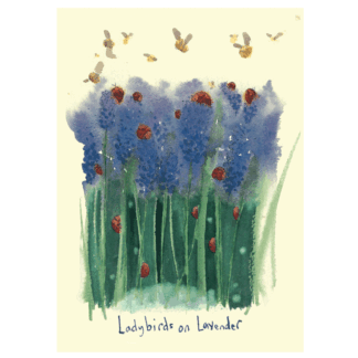 Ladybirds on Lavender Card