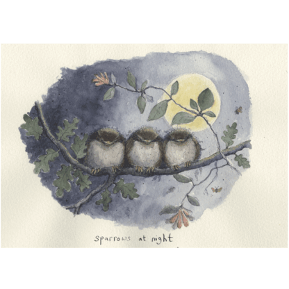 Sparrows At Night Card
