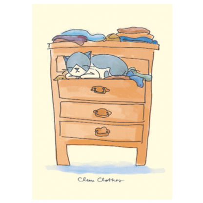 clean clothes