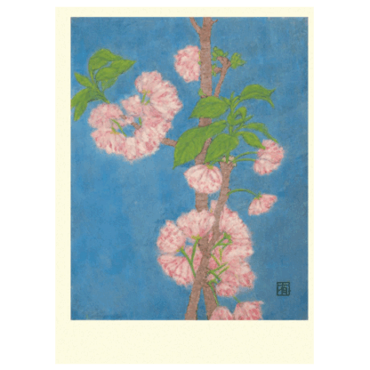 Yaezakura (Cherry Blossom) Card