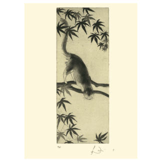 Cat Acer Tree