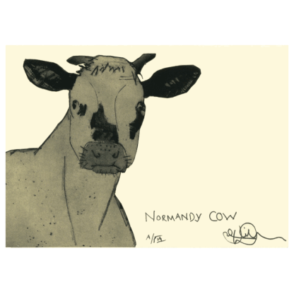 Normandy Cow card reproduced from an etching by Julian Williams