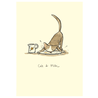 Cat & Milk
