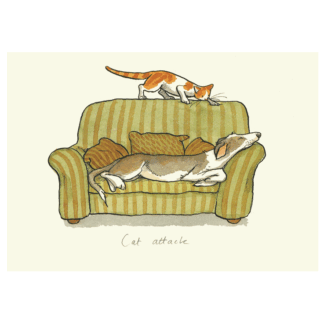 Cat Attack card