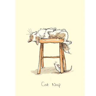 M269 Cat Nap