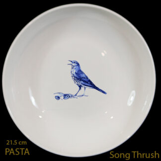 Song Thrush Pasta Dish