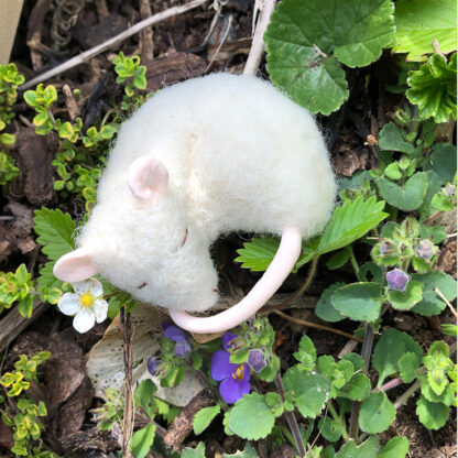 Sleeping mouse by Anita Jeram