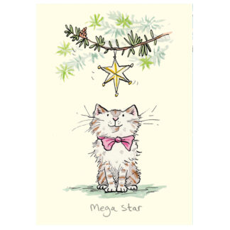 Mega Star Christmas Card Anita Jeram