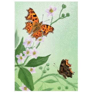 Comma, Polygonia c-album butterfly greeting card by julian williams
