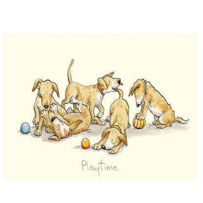 Anita Jeram Dog card