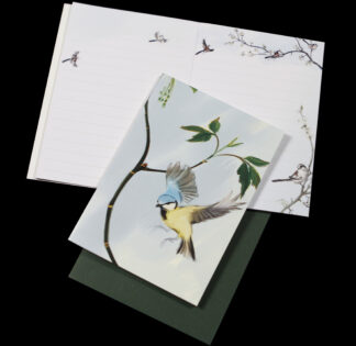 blue tit notebook julian Williams