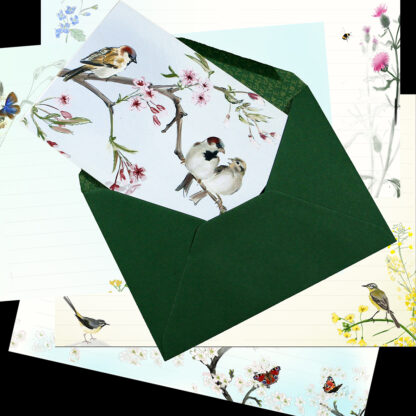 Sparrows Bird Notebook with Envelope - Image 3