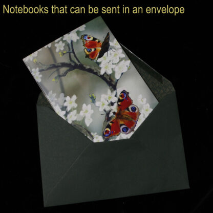 Red Admiral Nature Notebook