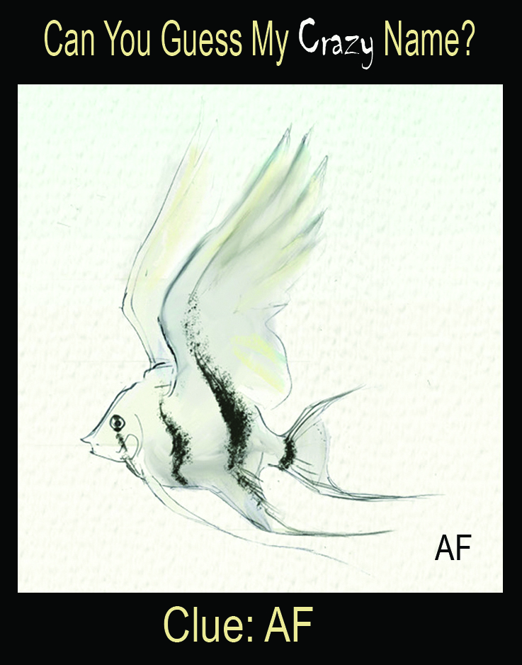 Angel Fish Julian Williams Art my crazy name