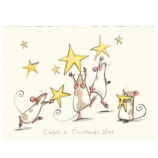 XM165-Catch-a-Chrristmas-Star Anita Jeram Christmas