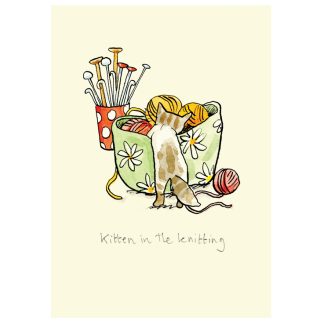 kitten knitting anita jeram