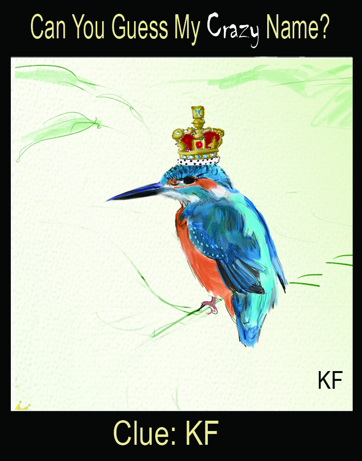 Crazy Name Kingfisher Julian Williams
