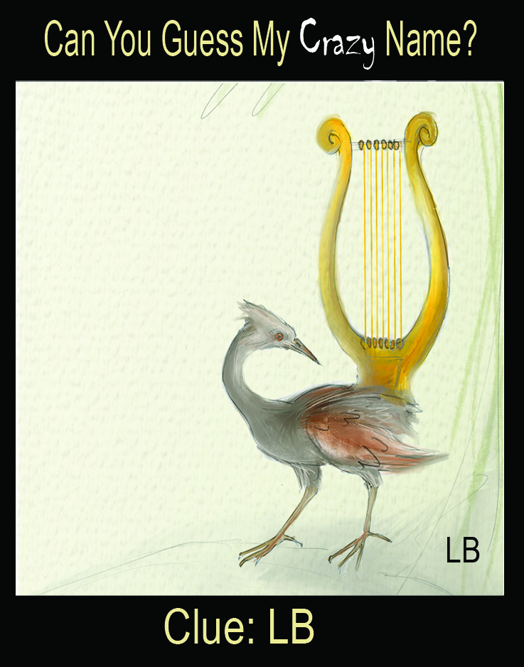 Lyre Bird crazy names Julian Williams